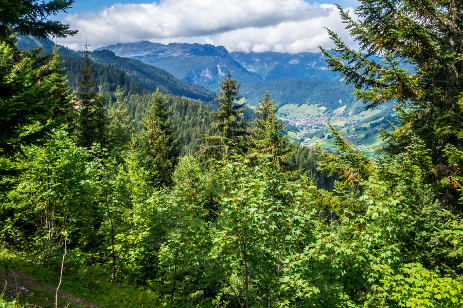 Aravis-74-UFP74 Propriétaires forestiers Bornes-Aravis