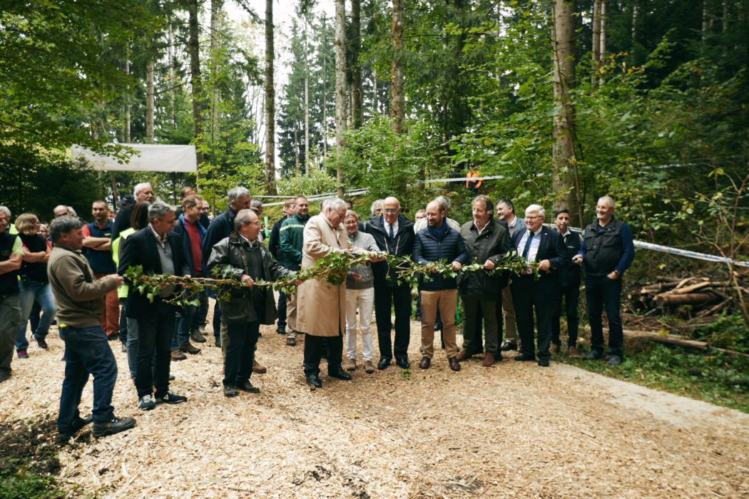 Fête du bois et de la forêt 2018