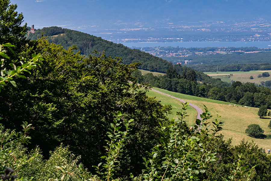 Propriétaires forestiers Chablais
