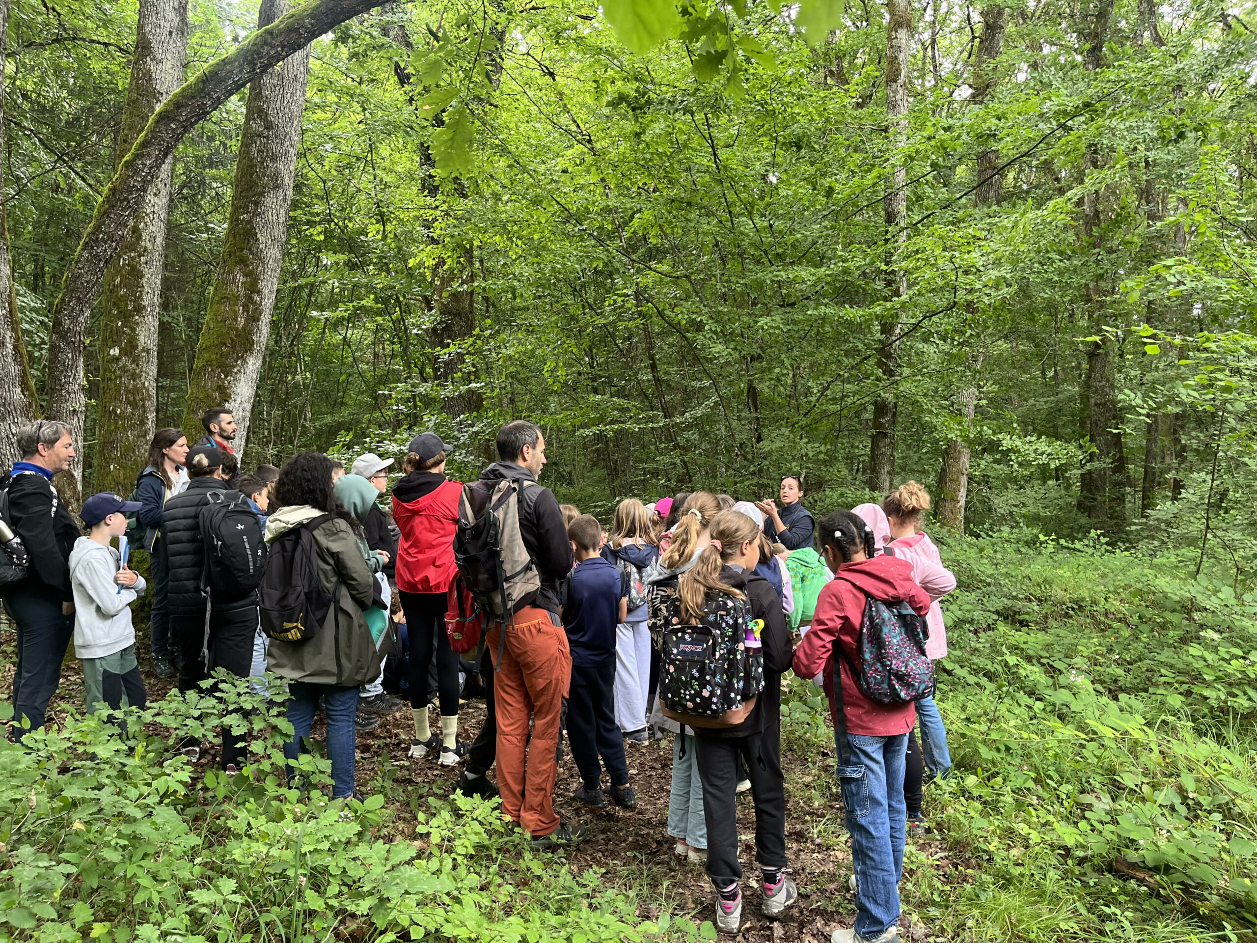 Animation scolaire en forêt à l’école de Feigères