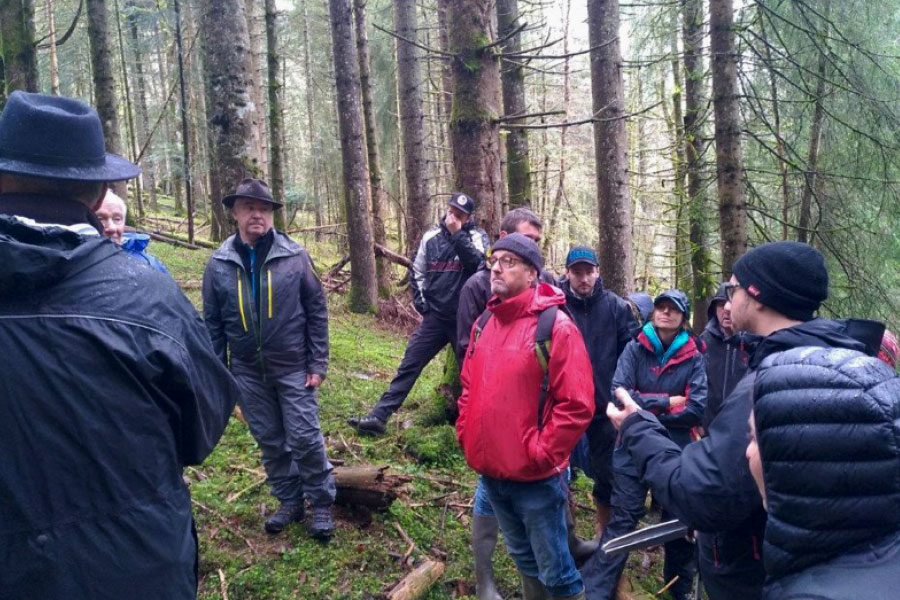 Propriétaires forestiers Faucigny