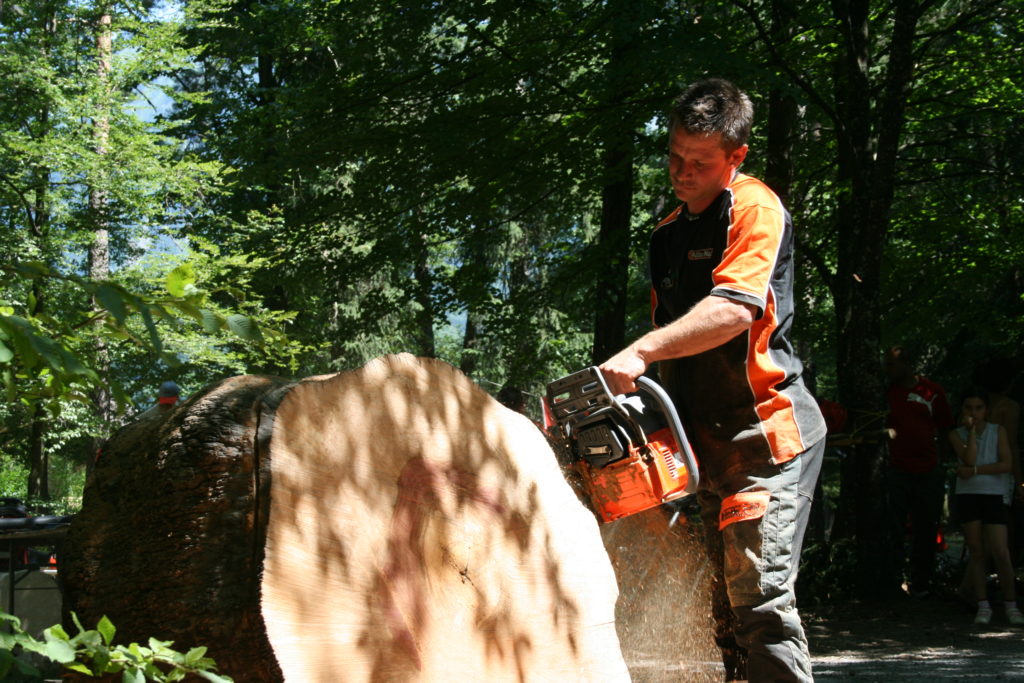 Fête de la forêt 2011
