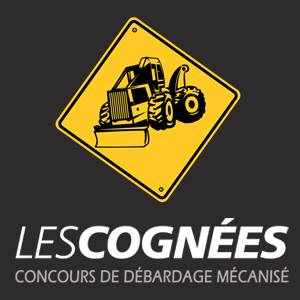 Les-cognees-gets