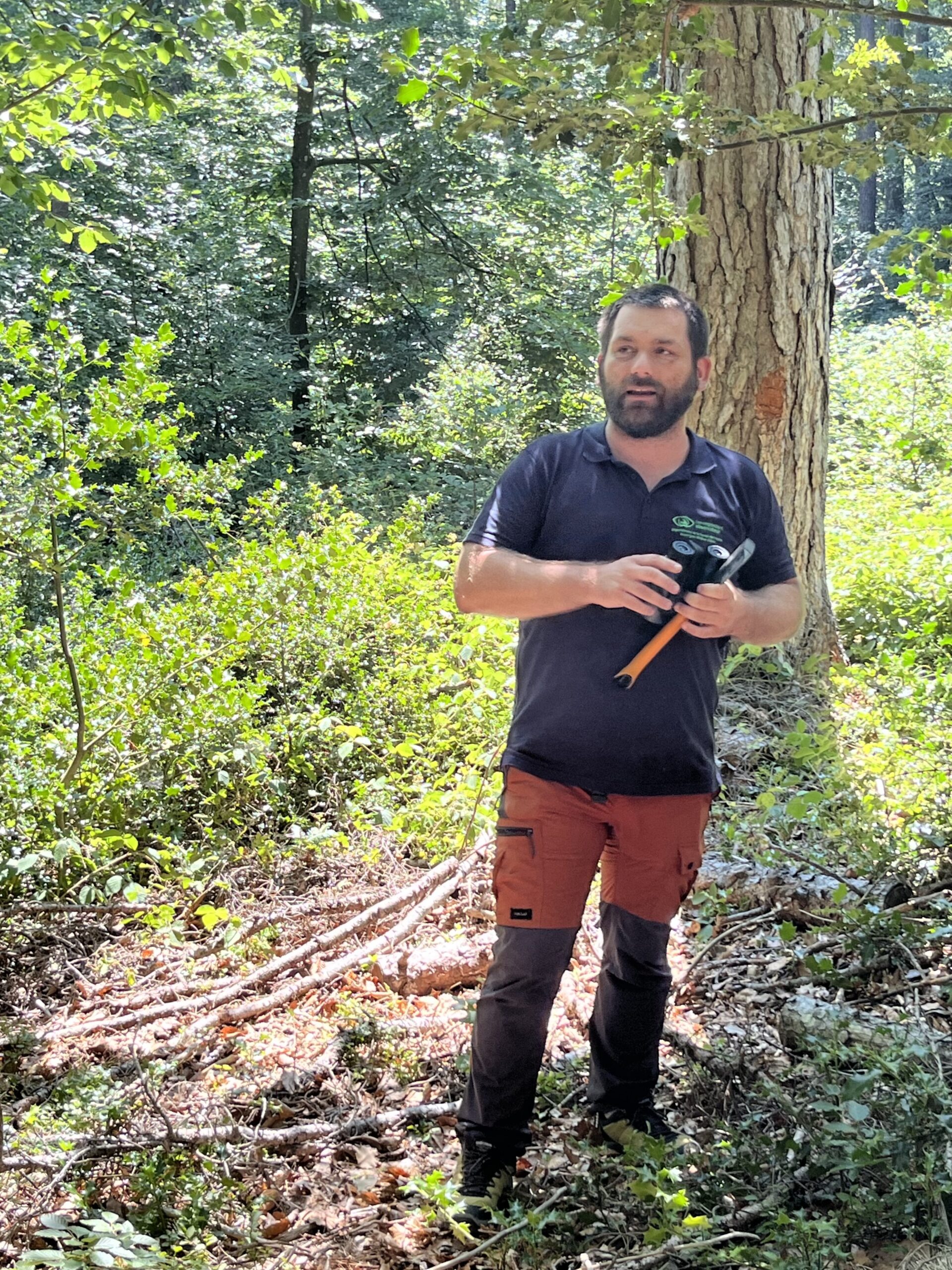 Santé des forêts : observer pour mieux préserver