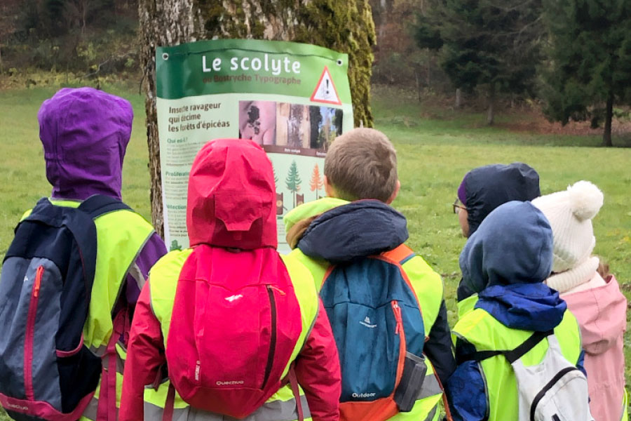 Scolyte-ecole-UFP74-Foret-haute-savoie Forêt en Haute-Savoie Animation