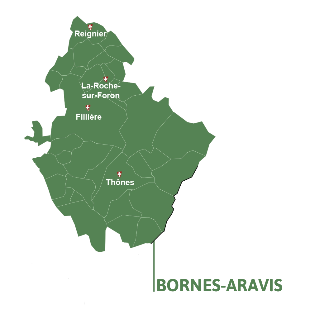 Section-BORNES-ARAVIS-Carte Carte-section-BORNES-ARAVIS
