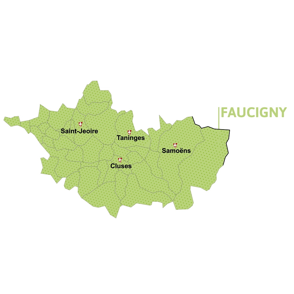 Carte-section-FAUCIGNY