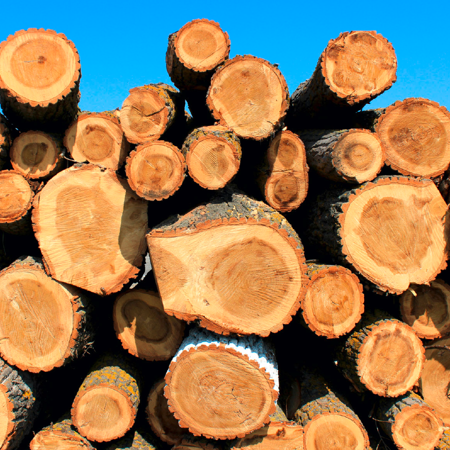 UFP74-Proprietaire-Forestier-Valorisarion-bois