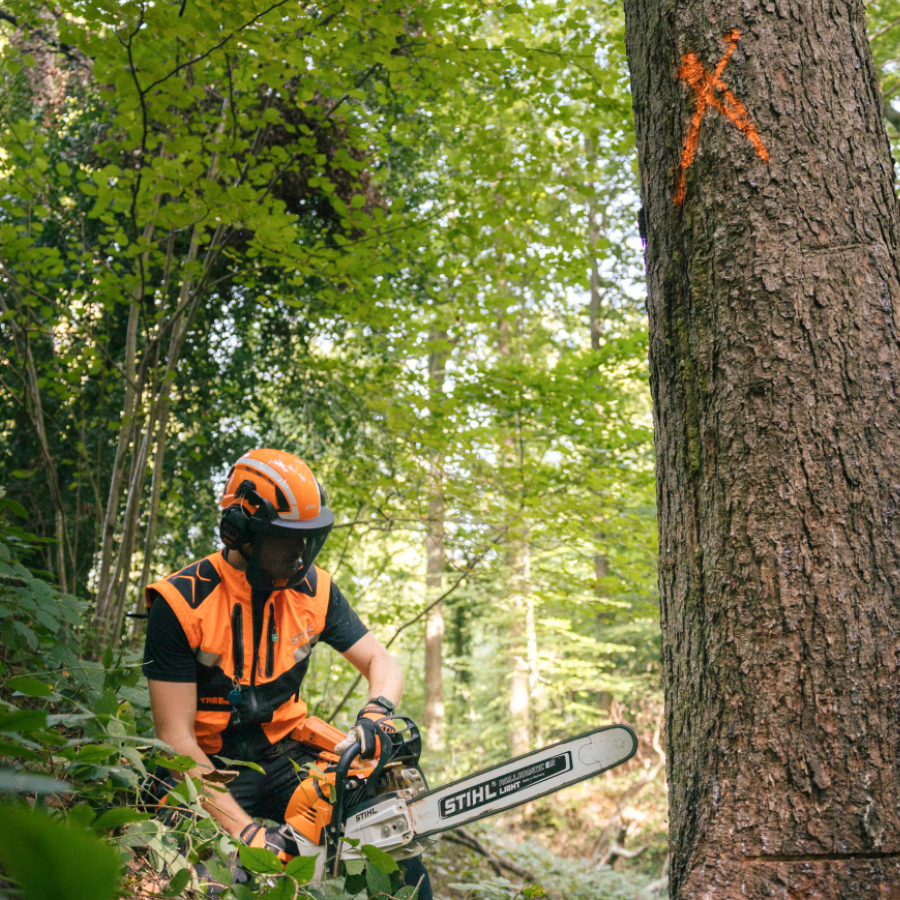 UFP74-Proprietaire-Forestier-gestion