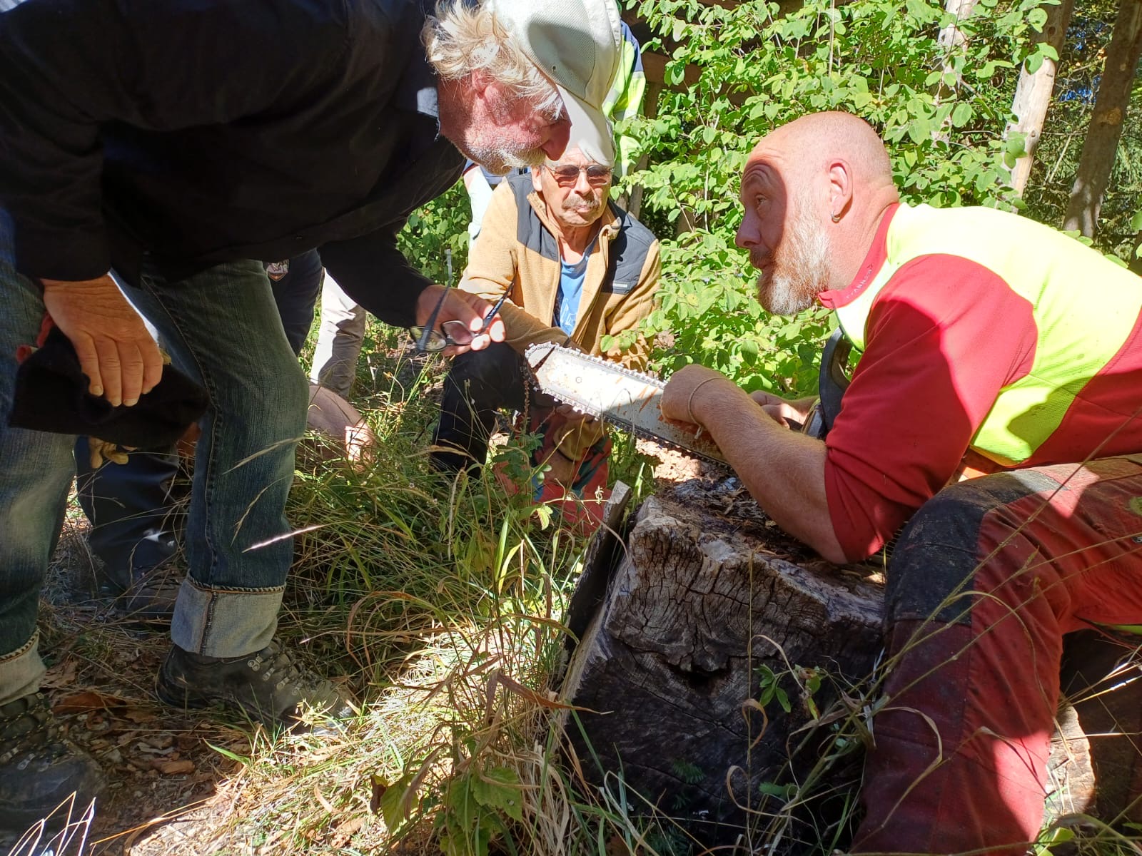 Sécurité en forêt à GIEZ : une journée de formation autour de l’utilisation de la tronçonneuse
