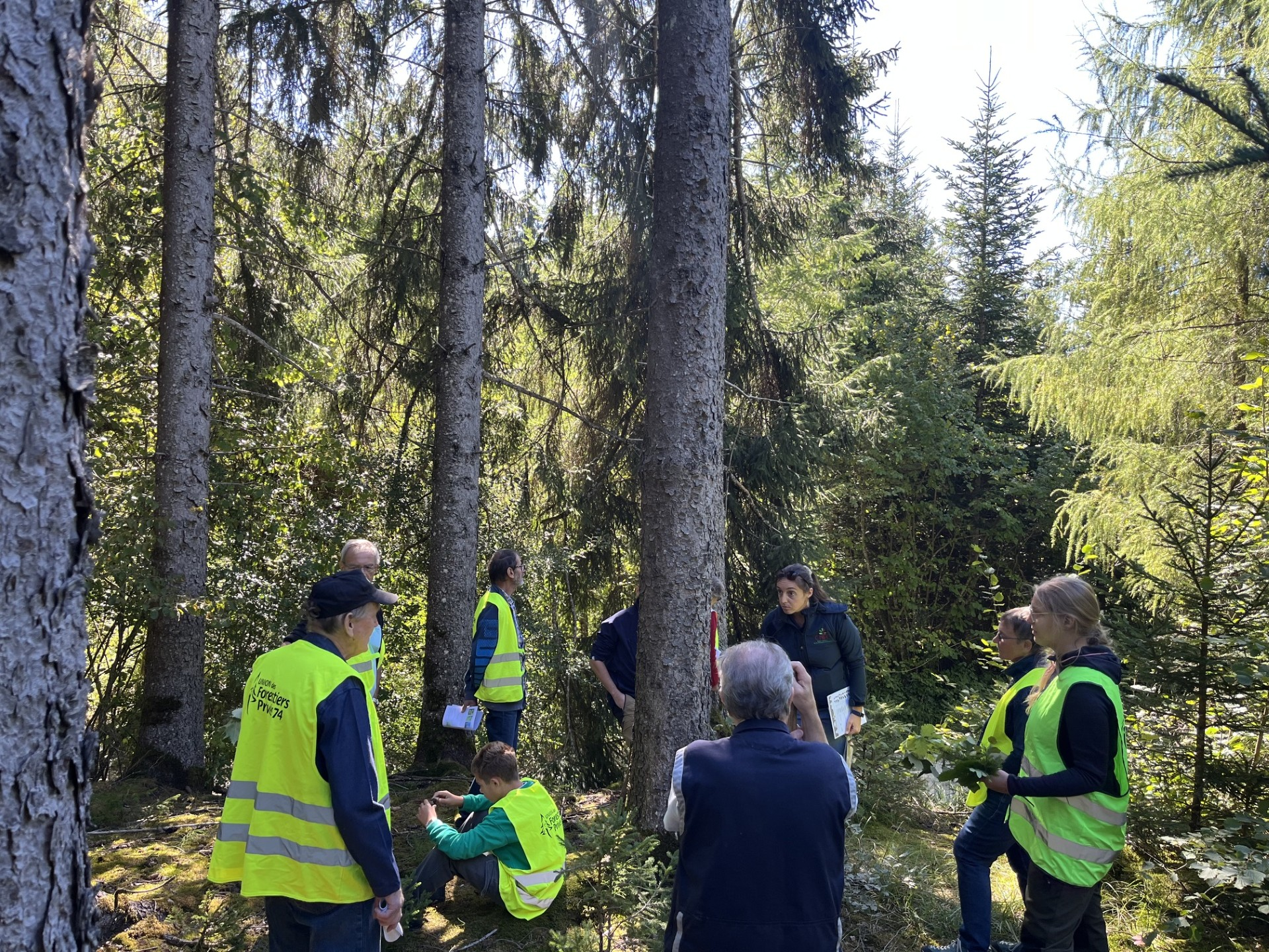 Formation sylvicole en Haute-Savoie : les adhérents de l’UFP74 à l’école de la forêt à Thorens